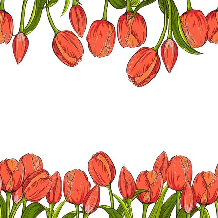 Two seamless borders with flowers tulips on white background. Vector illustrationのイラスト素材