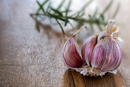 Garlic bulb with a twig of rosemary on wooden boardの写真素材