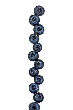 Blueberries in a row isolated on white backgroundの写真素材
