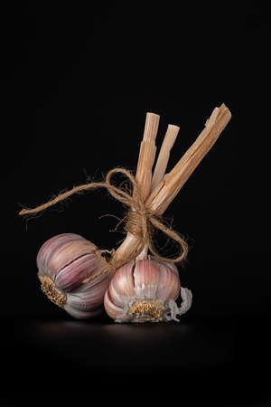 Bundle of garlic tied with hemp cord isolated on black backgroundの写真素材