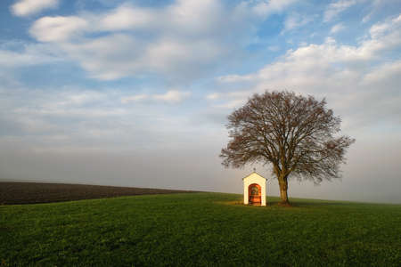 Small chapel under a tree in bavarian landscapeの写真素材