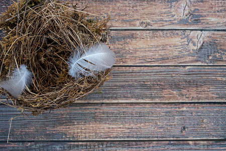 background nest with two feathers on wooden backgroundの写真素材