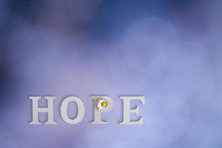 Hope written in wooden letters with a blossom of a small white daisy, isolated on blurry blue backgroundの写真素材