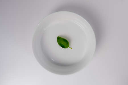 minimalistic shot of a basil leaf on a white plate and backgroundの写真素材