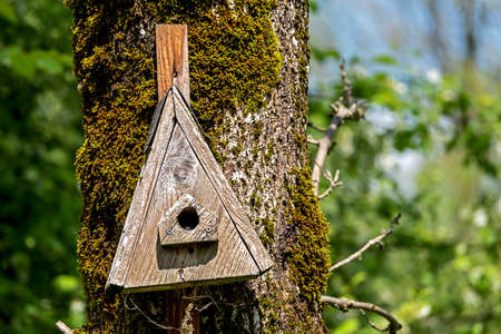 wooden house for birds for breeding and protectionの写真素材