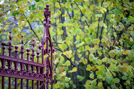 Burgundy painted wrought iron gate opens onto the garden