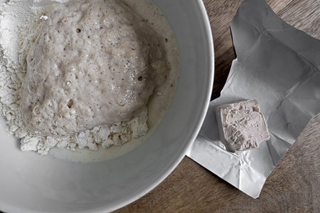 yeast pre-dough that has already risenfresh yeast