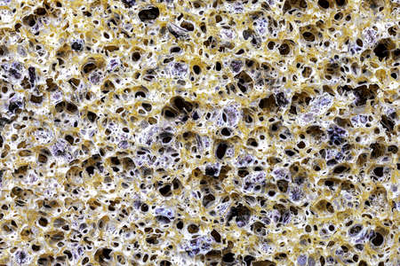 extreme closeup of a sponge with crushed olive stones for massage and peeling of the skinの写真素材