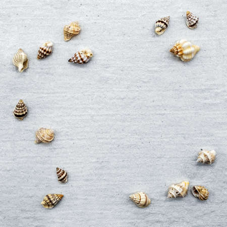 various empty snail shells on beige handmade paper