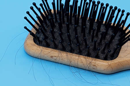 Wooden hairbrush with plastic tines and fallen black and gray hair
