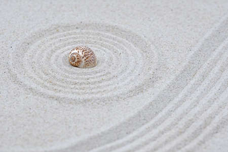 zen style, sand with s snail shell