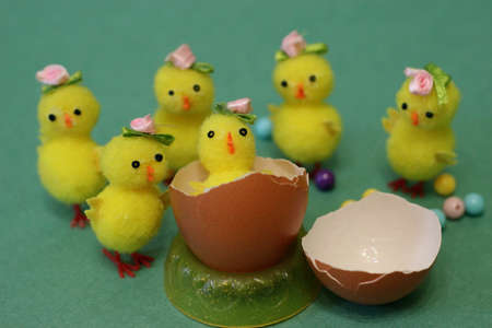 yellow chicken hatched from an egg, toys on a green background, selective focus