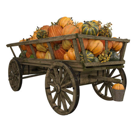 wooden cart with different pumpkinsの写真素材