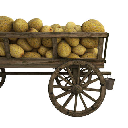 Wooden cart filled with melon harvestの写真素材