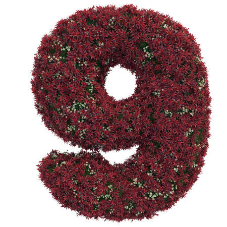 Percent Sign of Green Grass And Flowers, isolated on white background.