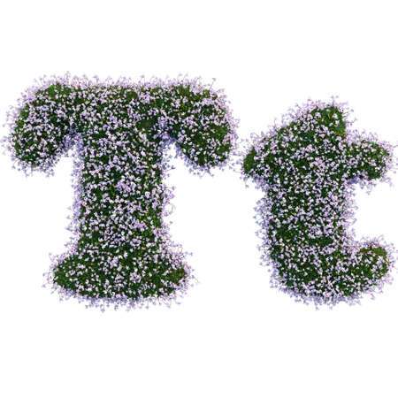 English alphabet and letters of grass and flowers