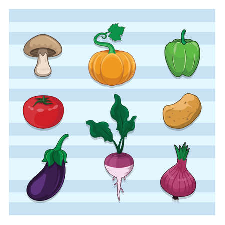 Collection of various vegetables Vector illustration.のイラスト素材