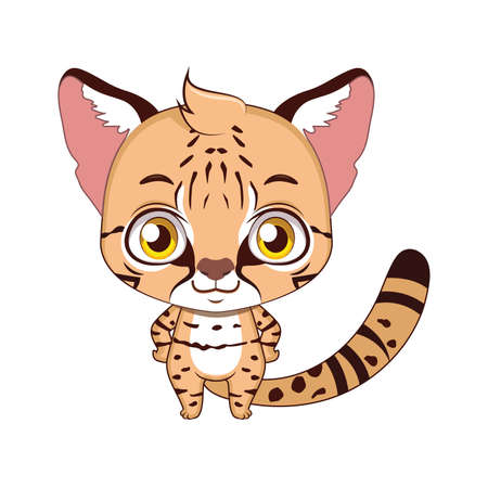 Cute stylized cartoon kodkod illustrationのイラスト素材