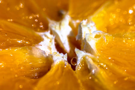 Orange Heart Macroの写真素材