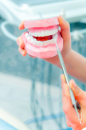 Set of dentures model with pink gum
