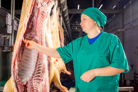 Carcasses of pigs in row in meat factory. Russiaのeditorial素材