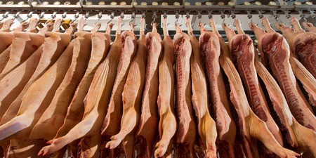 Pork production at a factory. Chopped pig.