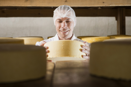 Producing fresh cheese at factory in Russiaの写真素材
