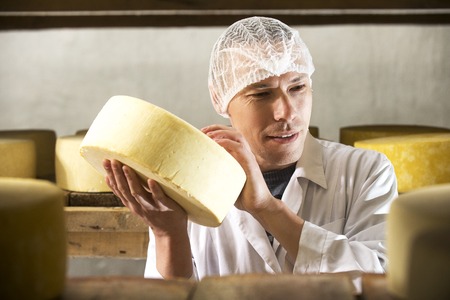 Producing fresh cheese at factory in Russia