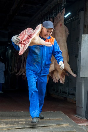 Russia - july, 2016: loading truck with pig's bodies at a factoryのeditorial素材