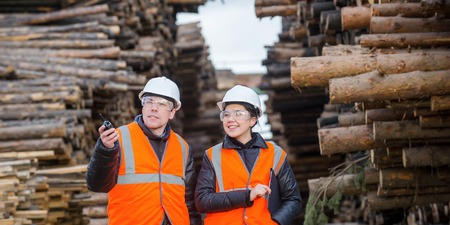 Two workers with cut trees on the backgound
