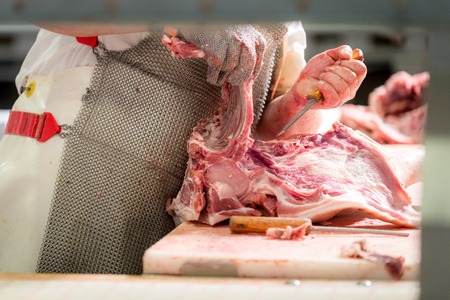 Worker cuts meat butcher handling cuts of prime choice cutsの写真素材