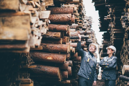 Wood worker storageの写真素材
