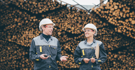 wood worker storageの写真素材