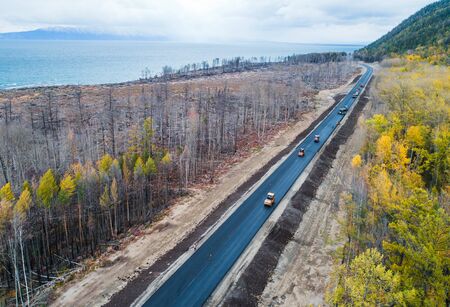 burned forest from aboveの写真素材