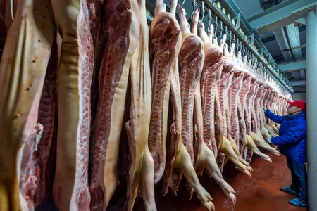 Chopped pig at a factory
