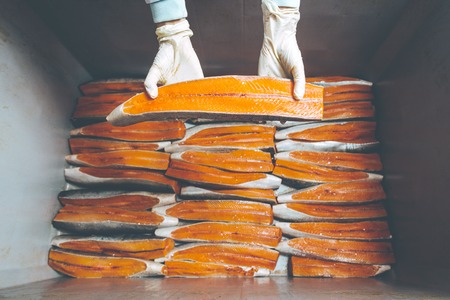 fish seafood factoryの写真素材