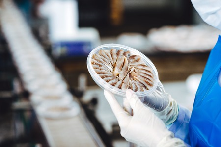 fish seafood factory industry production processing equipment