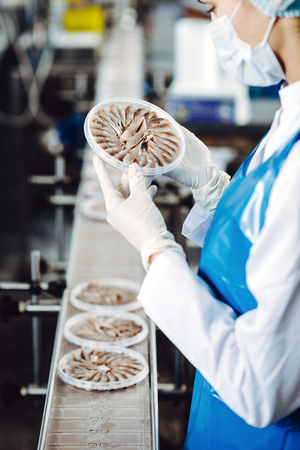 fish seafood factory industry production processing equipmentの写真素材