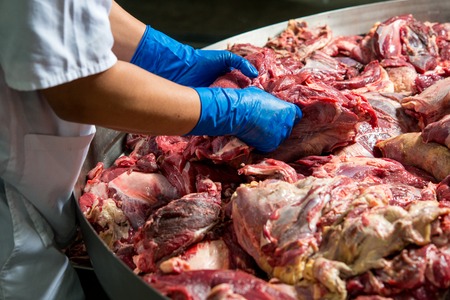 meat factory worker separate the beefの写真素材