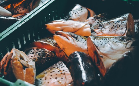 fish factory process
