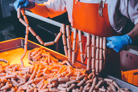 sausage meat productionの写真素材