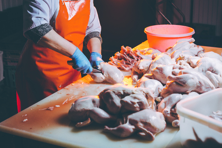 chicken meat productionの写真素材