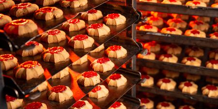 cookie making factory bakery fresh cook biscuit