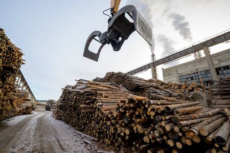 wood lift crane factory cut log storage tree
