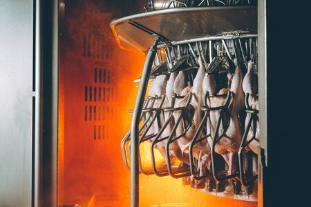 bird chicken factory line hang poultry industryの写真素材