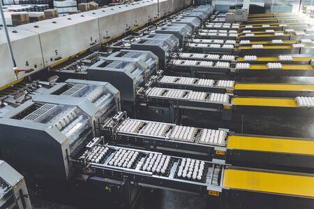 egg factory industry poultry conveyor production
