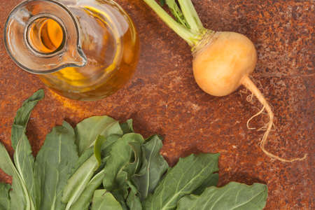 sorrel, turnip and olive oil on an old tableの写真素材