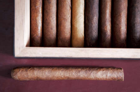 one cigar humidor near-full cigar on a dark background
