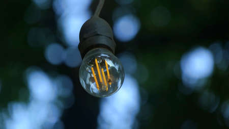 small lights with the background of bokeh trees