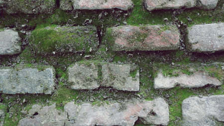 mossy brick walls close upの写真素材